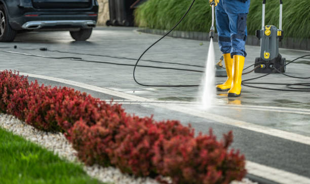 Best Sidewalk and Walkway Cleaning  in Ozark, AL